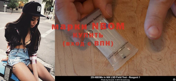 крисы Абаза