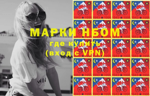 крисы Абаза