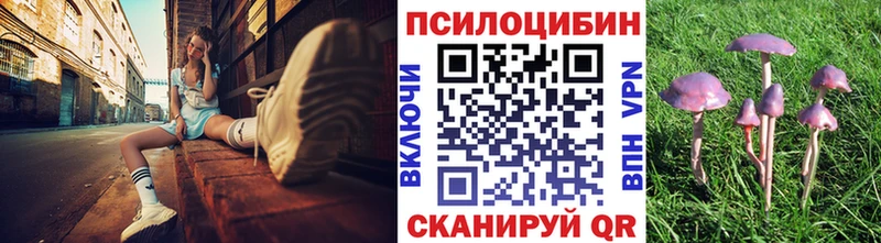 как найти наркотики  Рассказово  Галлюциногенные грибы GOLDEN TEACHER 