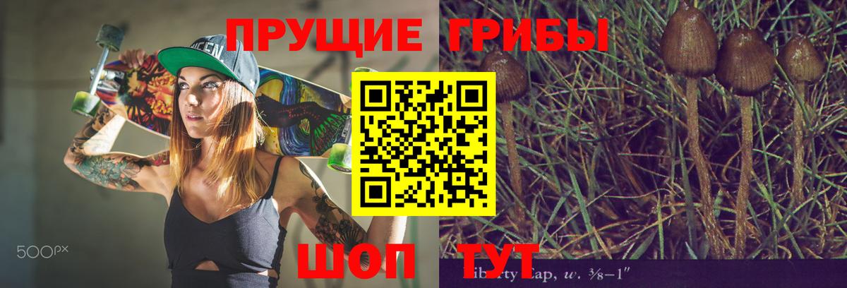 Псилоцибиновые грибы прущие грибы Рассказово