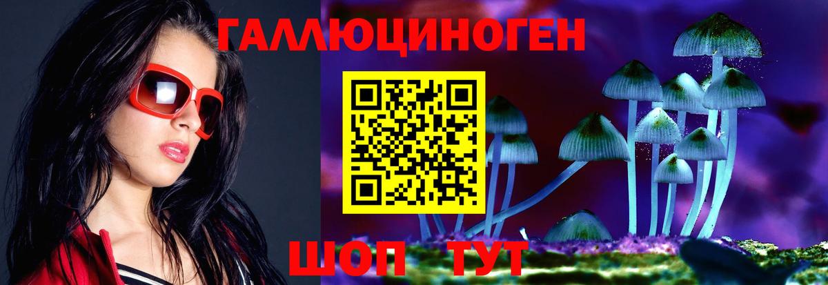 Рассказово  Псилоцибиновые грибы прущие грибы  купить  цена  Вход с VPN 